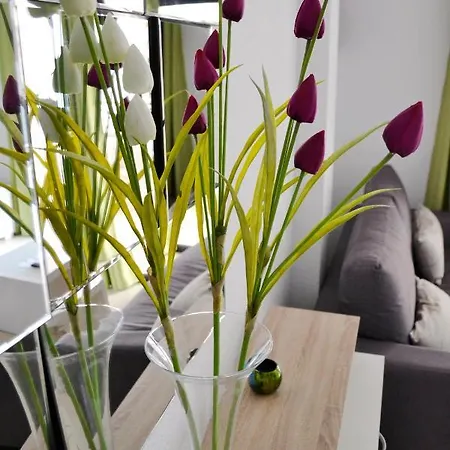 Apartment Los Cristianos San Marino Tenerife
